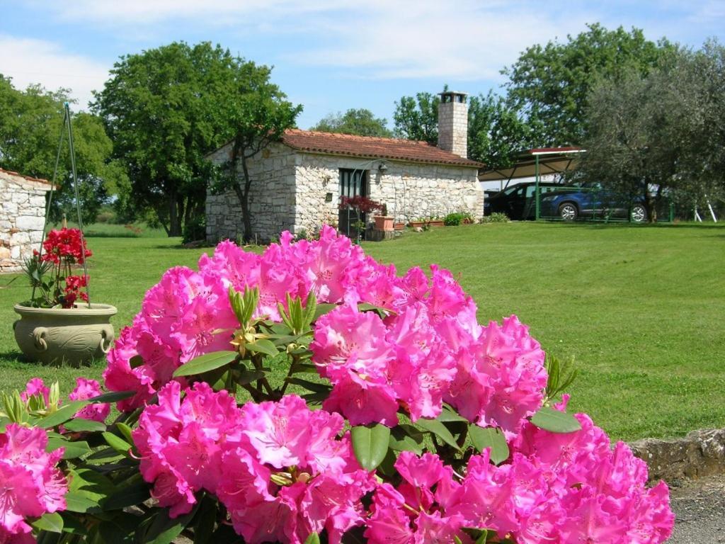Moratto'S Apartments Umag Eksteriør billede